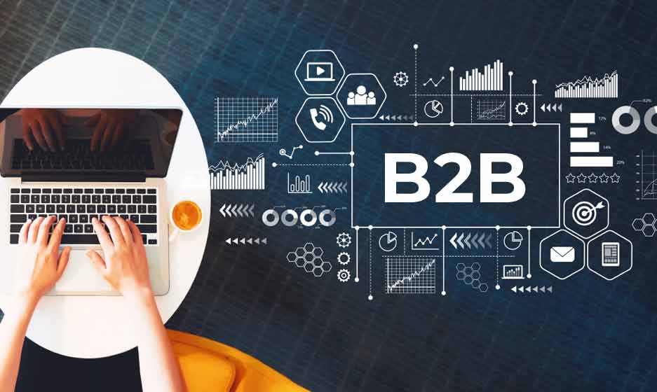 b2b company database